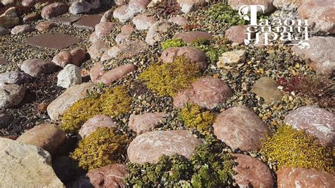 Микродождеватель SOLO-DRIP HUNTER для автополива - ЛандшафтСити-Урал ...