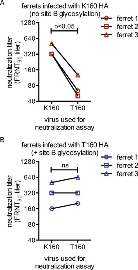 Contemporary H3n2 Influenza Viruses Have A Glycosylation Site That