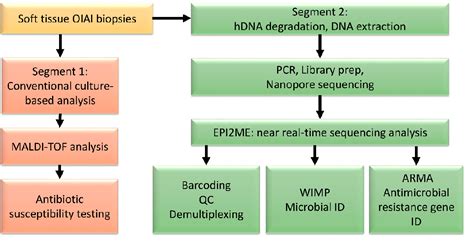 Figure 1 From Rapid Diagnostics Of Orthopaedic Implant Associated