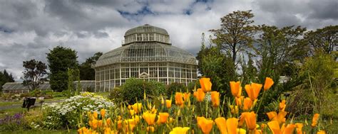 Merrion Square