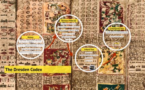 The Mayan Codices by Caroline McAlonie