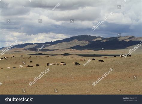 Mongolian Landscape Stock Photo 174101753 | Shutterstock