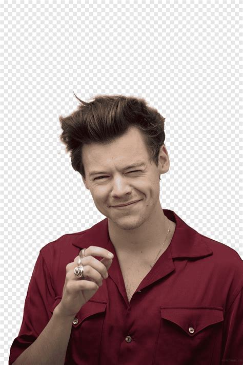 Harry Styles Png Pngegg