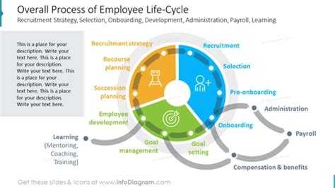 Employee Life Cycle - Stage Of The Employee Life Template