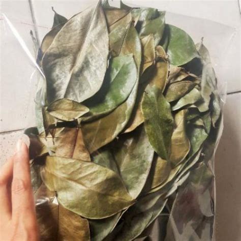 50 GRAM LEBIH DAUN DURIAN BELANDA KERING Shopee Malaysia