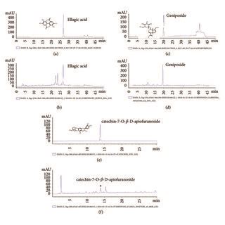 Hplc Dad Chromatogram For Standardization Of Sample A Ellagic Acid