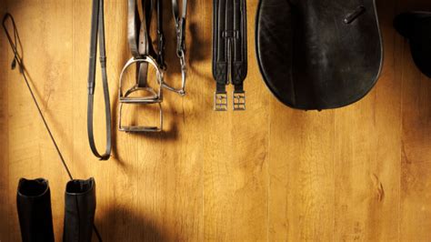 The Essential Horse Riding Equipment List | Equestrian Mag