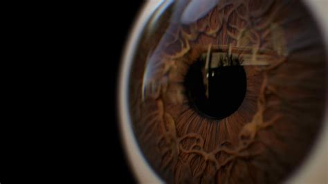 Creating A Realistic Iris For An Eye In ZBrush Using FiberMesh