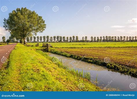 Dutch Polder Landscape With Ditch And Country Road Stock Photo Image