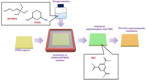 Membranes Free Full Text Enhancing Performance Of Thin Film Nanocomposite Membranes By