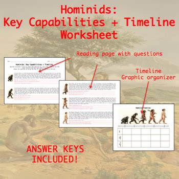 Hominid Timeline Chart plus Answer Key by TeachingAncient | TpT