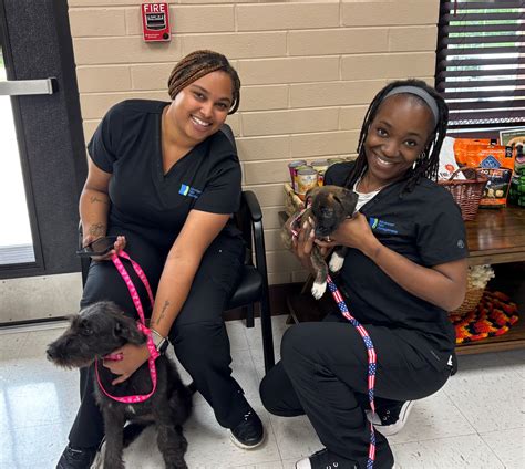 Columbia County Animal... - Columbia County Animal Services