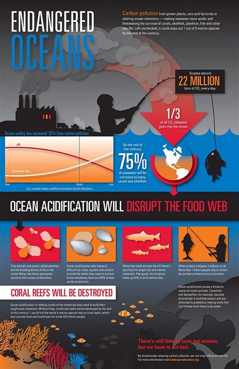 types of ocean pollution | Ocean Cleanup