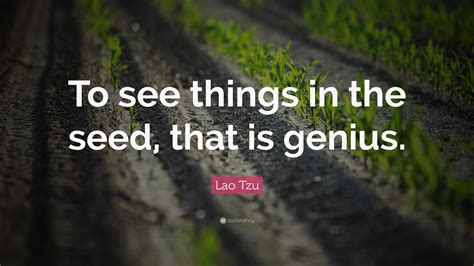 Lao Tzu Quotes (94 wallpapers) - Quotefancy