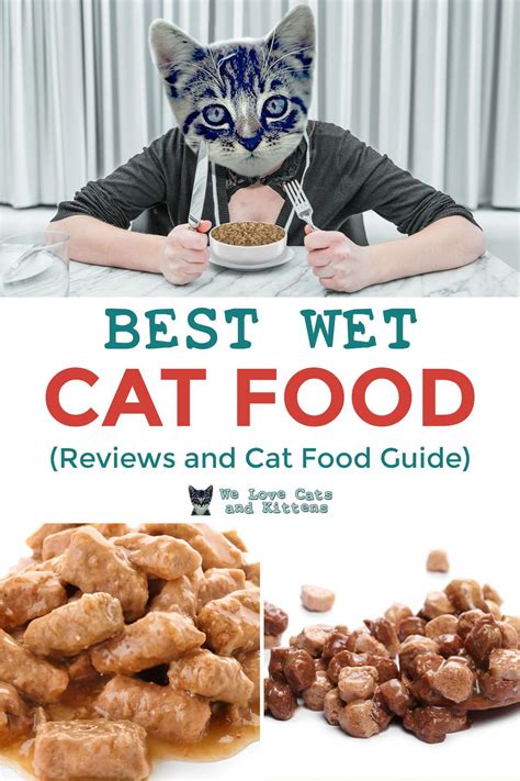 Best organic cat food brands for 2020 – Artofit