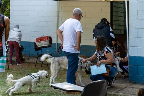 Mutirão Castra Pets em Taboão da Serra acontece nos dias 8 e 9 de outubro