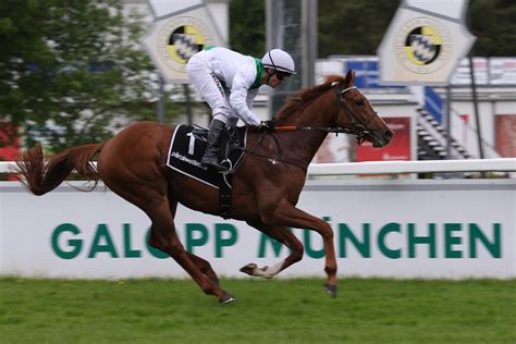 Boxen Auf Zur Saison Deutscher Galopp