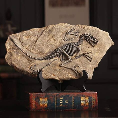 Dinosaur Skin Fossil For Sale Flash Sales | emergencydentistry.com