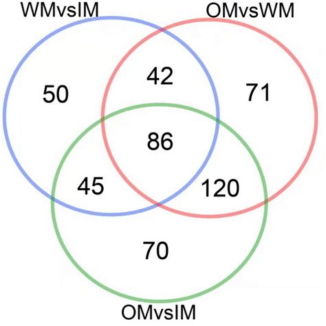 Venn Diagram Of Differentially Expressed Proteins Between Different Groups Download Scientific