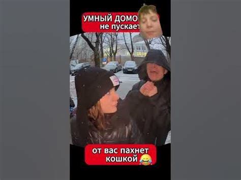 домофон Алиса - YouTube