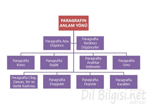 4 SINIF TÜRKÇE ANLAM BİLGİSİ PARAGRAFTA ANLAM