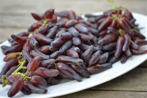 Witch Fingers Grapes - Jolly Tomato