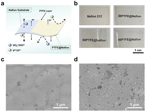 Coatings Free Full Text Polytetrafluoroethylene Modified Nafion