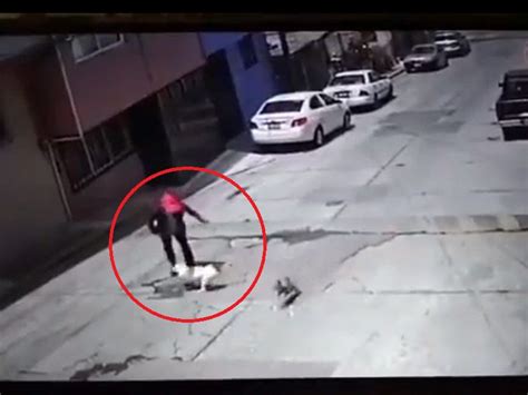 Perro Pitbull Ataca Brutalmente A Una Abuelita En Plena Calle De Puebla