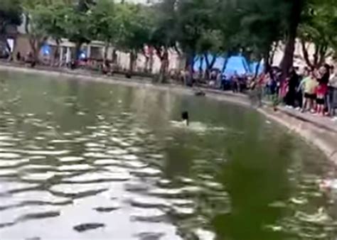 Cliphotnew Clip Hot Việt Nam Xem Video Mới Nhất Hôm Nay