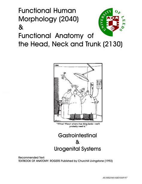 Pdf Functional Human Morphology 2040 Functional Anatomy · Pdf