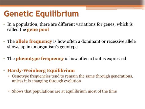 Genetic Equilibrium Population Genetics Looks At Evolution At The