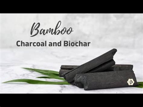 Bamboo And Biochar YouTube