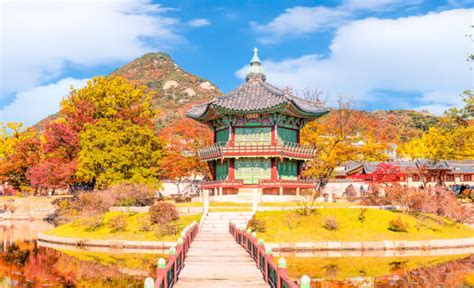 Spring Activities For Visit Korea Year 2023 24