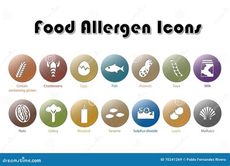 Icone Dell Allergene Dell Alimento Illustrazione Di Stock