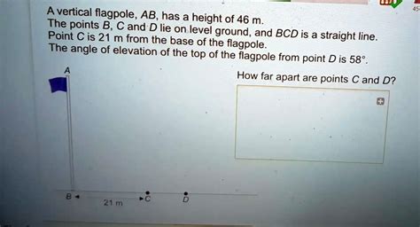 A Vertical Flagpole Ab Has A Height Of 46 M The Points B C And D Lie