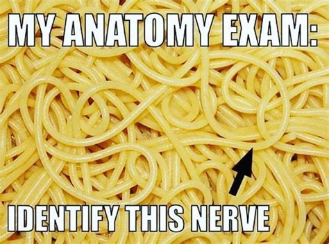 Pin By Zadowolone On Real Lifefunny Medical Student Humor Medical