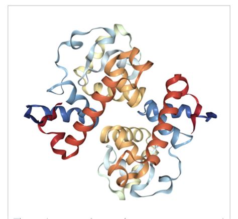 Portage Biochem Proteins Module Flashcards Quizlet