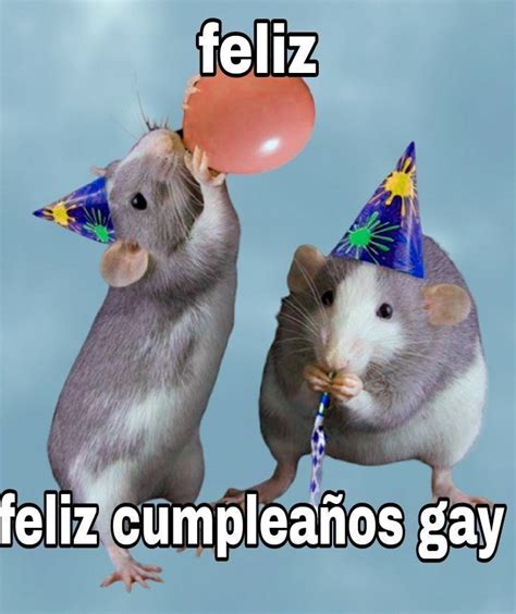 Feliz Cumple Gay Funny Memes Spanish Memes Funny Images