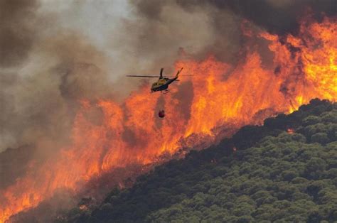 Incendios Forestales Golpean A Espa A En Plena Ola De Calor La