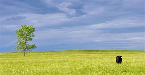 Texas Panhandle Ranch © Imgur