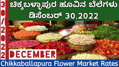 Chikkaballapura Flower Market Rate Youtube