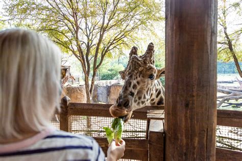 11 Photos to Inspire a Visit to the Dallas Zoo | Visit Dallas