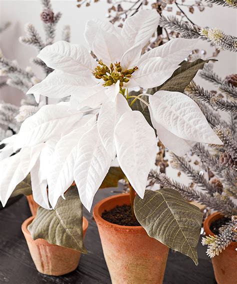 Faux Potted White Poinsettias Holiday Floral Arrangements