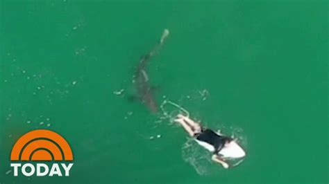 Video Shows Great White Shark Swimming Behind Surfer Today Youtube