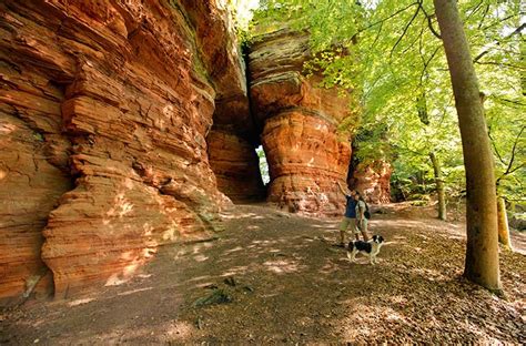 Wanderarena Wandern Im Pf Lzerwald Und Nordvogesen