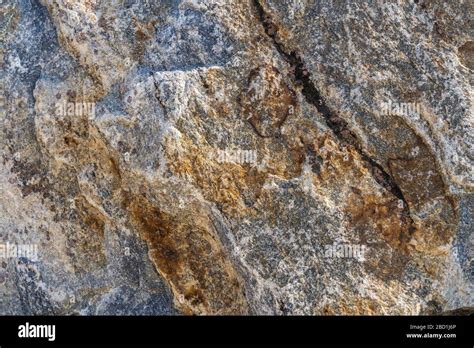 Texture Of Natural Rock Granite Natural Rock Granite Magmatic