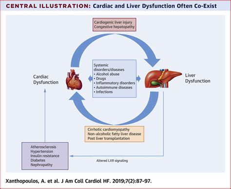 Heart Failure and Liver Disease: Cardiohepatic Interactions | JACC