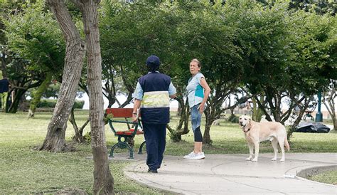 Los Parques Centrales Permiten Perros