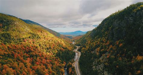 Getting On the Map: ROOST | The Destination Effect