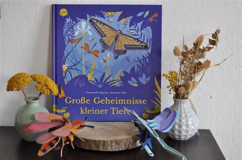 Insekten Sachbuch Mit Stanzungen Gro E Geheimnisse Kleiner Tiere